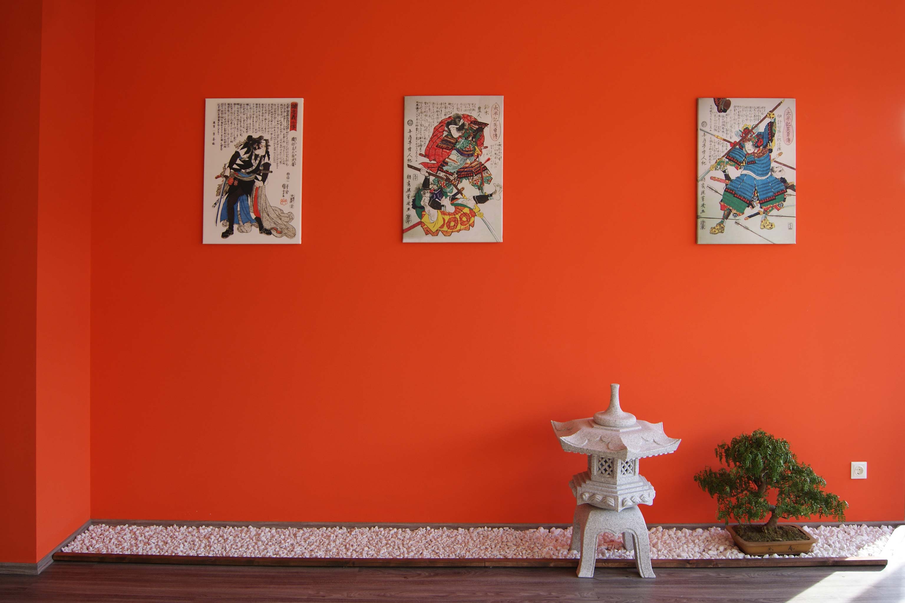 background_dojo2